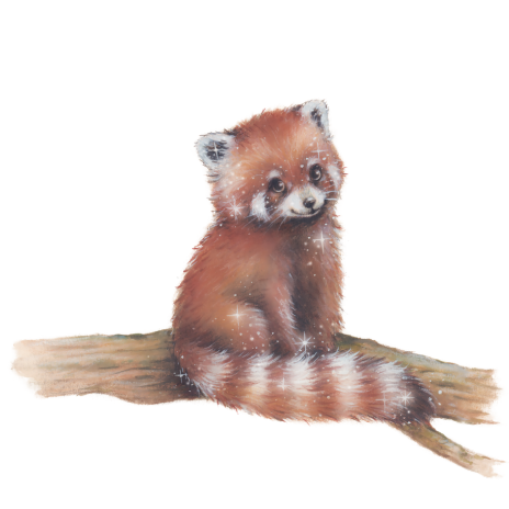 My Forever Tooth Fairy - Trixie the red Panda