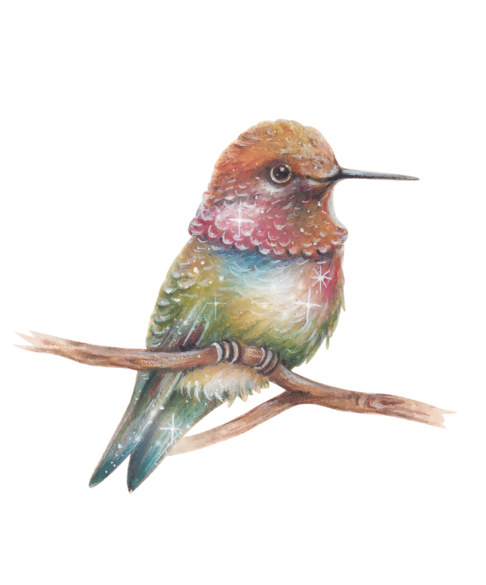 My Forever Tooth Fairy - Piccolo the Bee Hummingbird